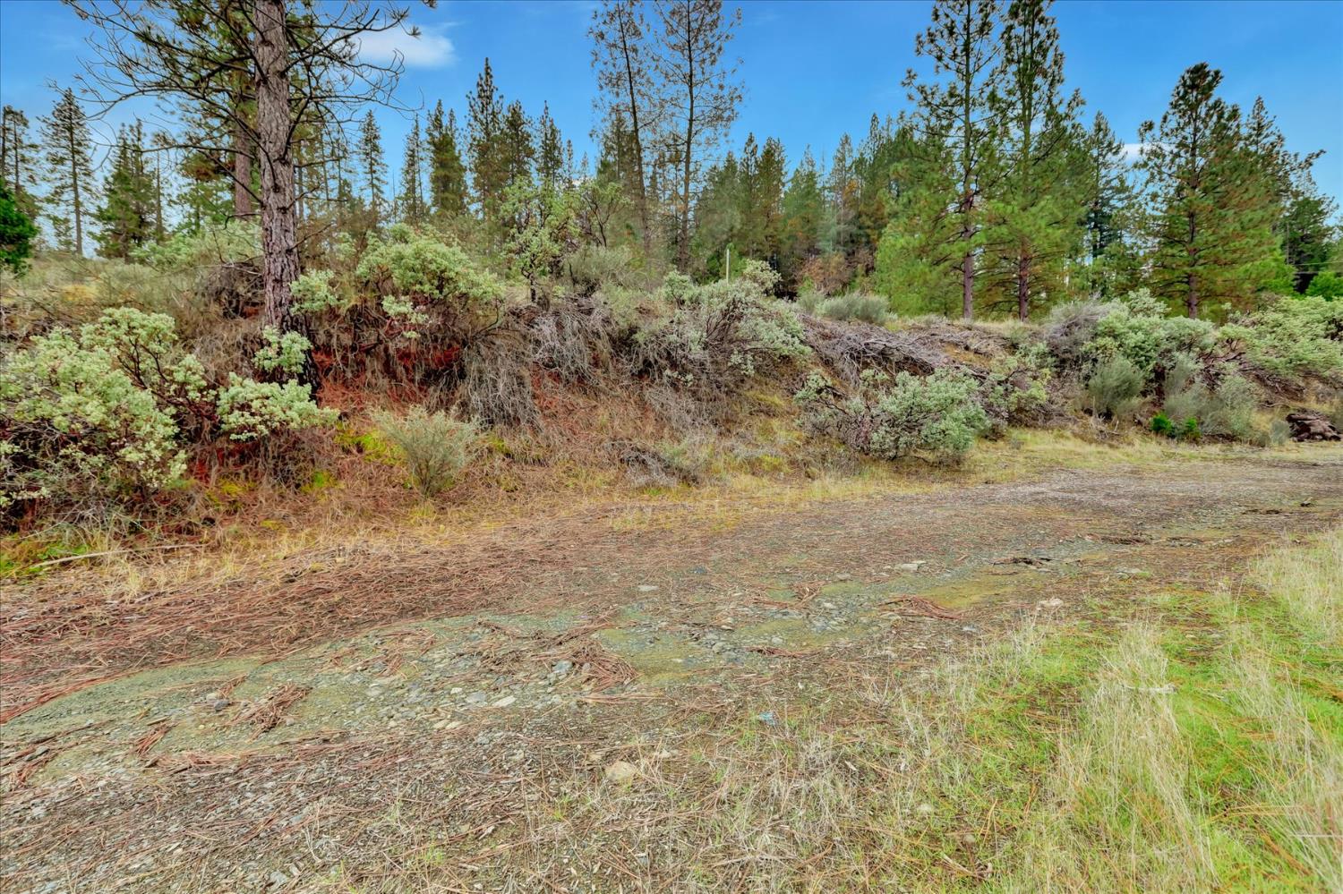 1349 Idaho Maryland Road Grass Valley, CA 95945 - Photo 22 of 89