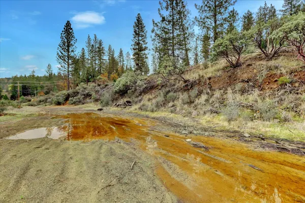 a view of a field with trees in the background