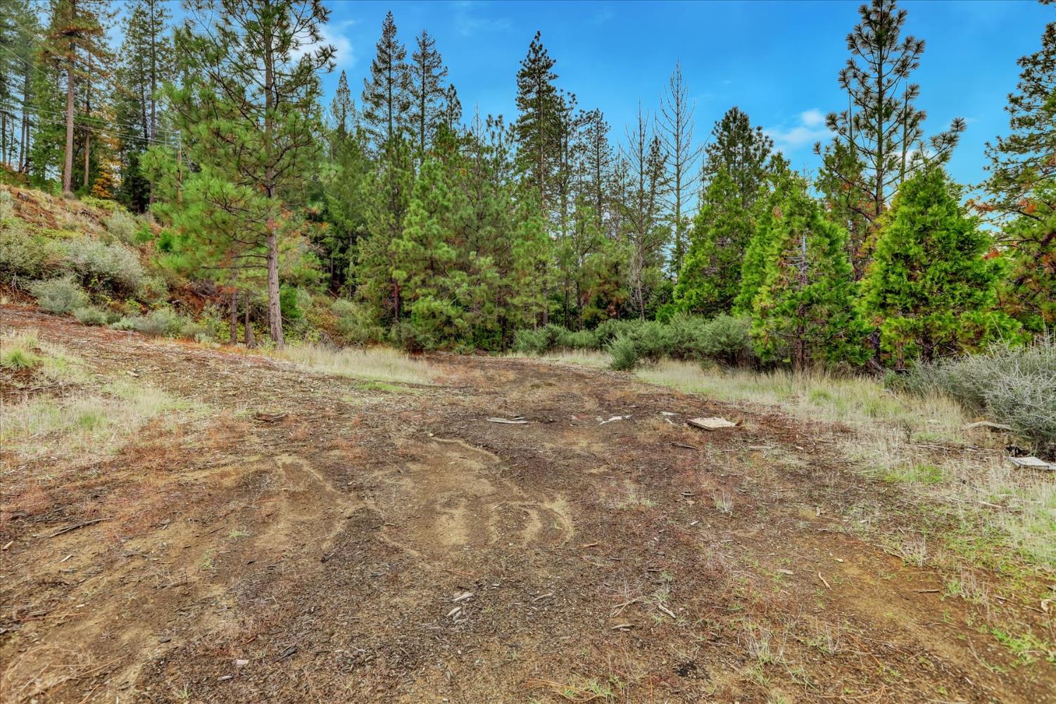1349 Idaho Maryland Road Grass Valley, CA 95945 - Photo 26 of 89