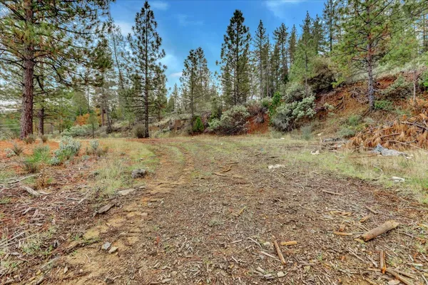 a view of a field with trees in the background