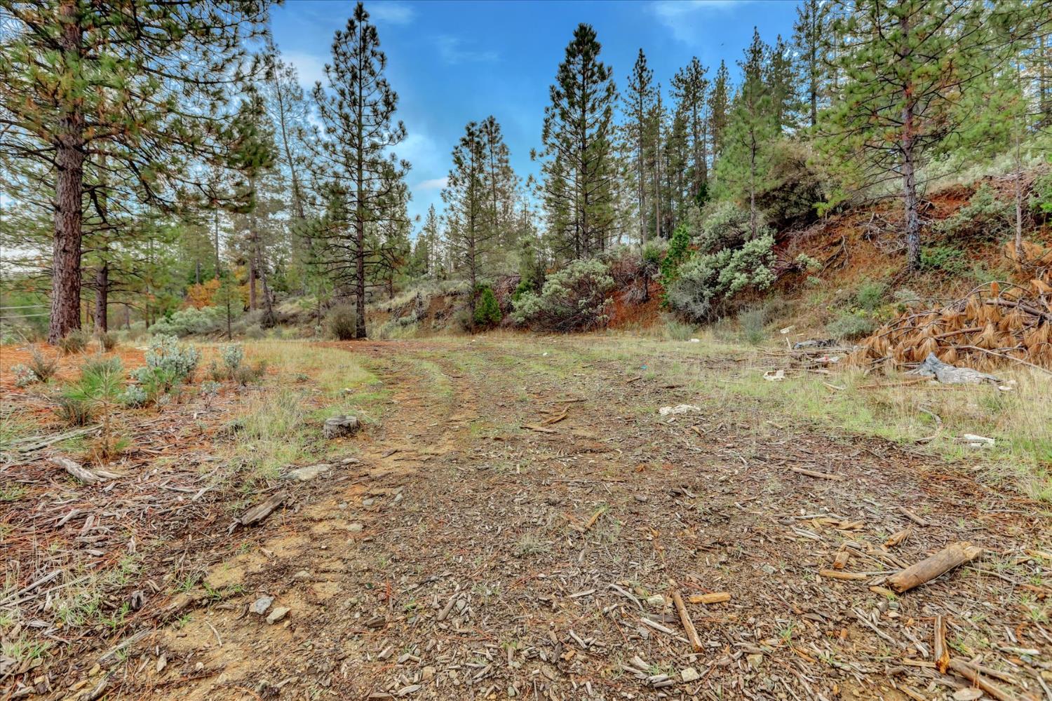 1349 Idaho Maryland Road Grass Valley, CA 95945 - Photo 27 of 89