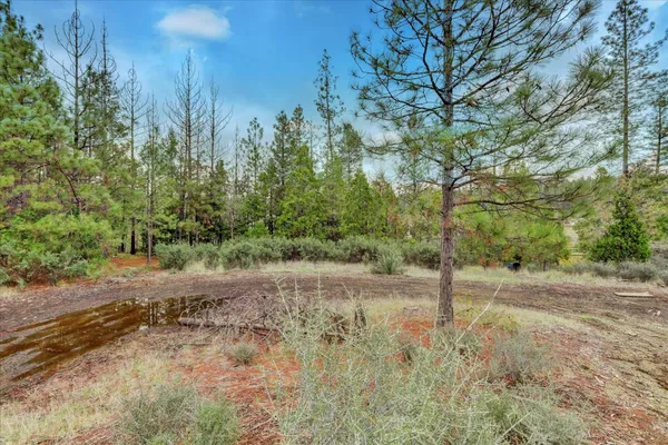 a view of a lake with a yard