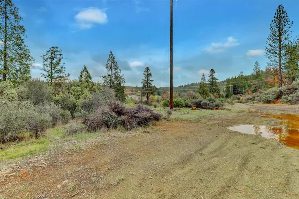 a view of a dirt field with trees in the background