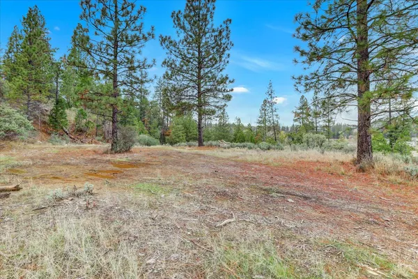 a view of a field with trees in the background