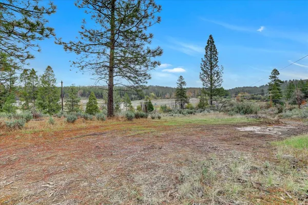 a view of a field with trees in the background