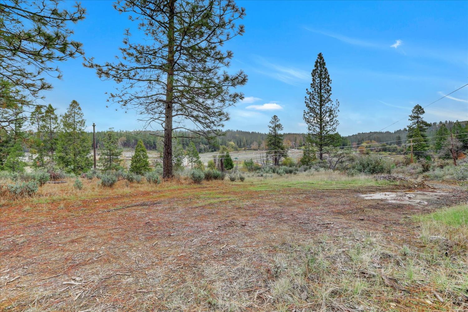 1349 Idaho Maryland Road Grass Valley, CA 95945 - Photo 35 of 89 a view of a field with trees in the background