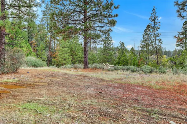 a backyard of a house with trees all around