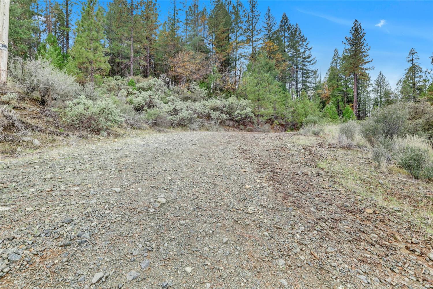 1349 Idaho Maryland Road Grass Valley, CA 95945 - Photo 38 of 89 a view of a dry yard with trees in the background