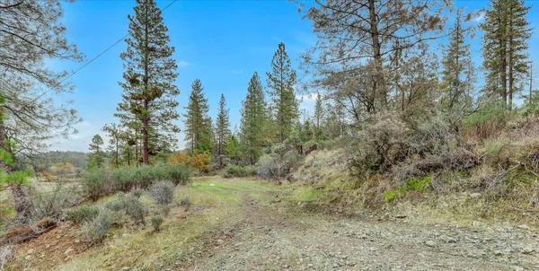 a view of a dry field with trees in the background