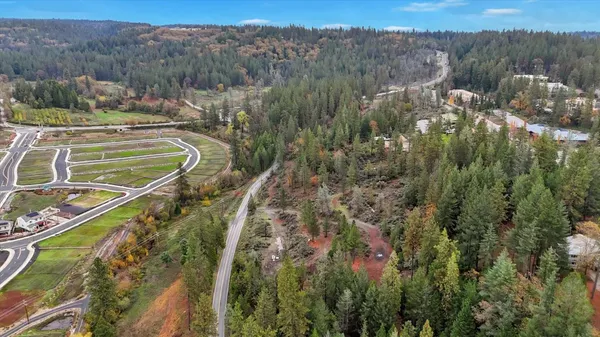 a view of a big yard with large trees