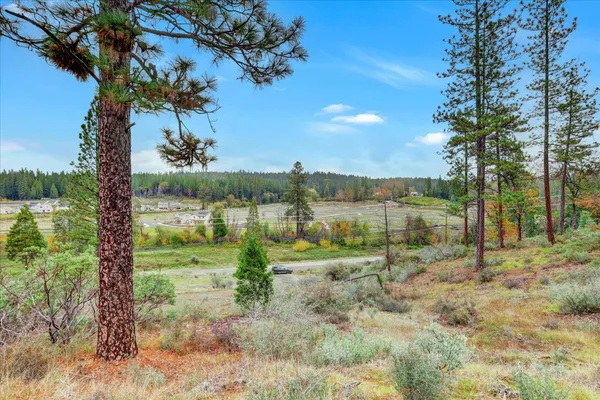 a view of a dirt road with large trees