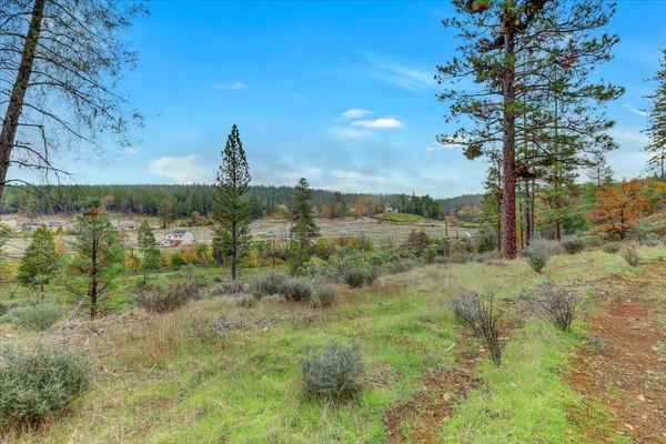 a view of a dry yard with trees in the background