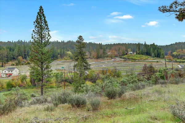 a view of a yard with a tree