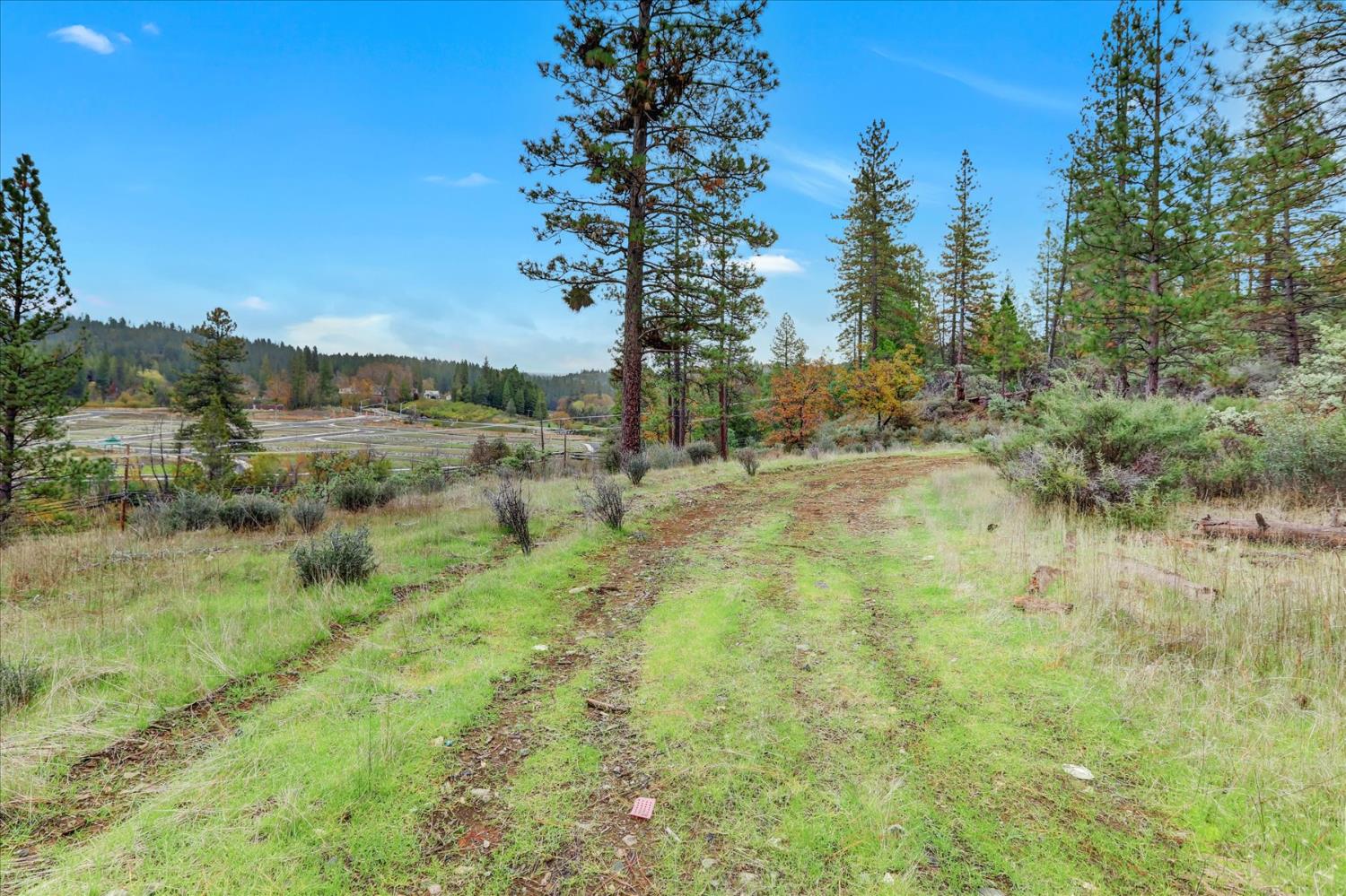 1349 Idaho Maryland Road Grass Valley, CA 95945 - Photo 48 of 89