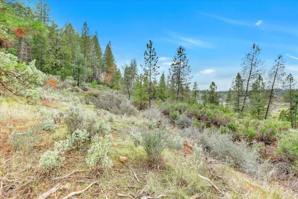 a view of a city with lush green forest
