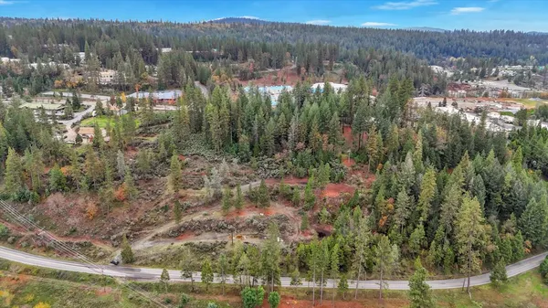 a view of a trees with a yard