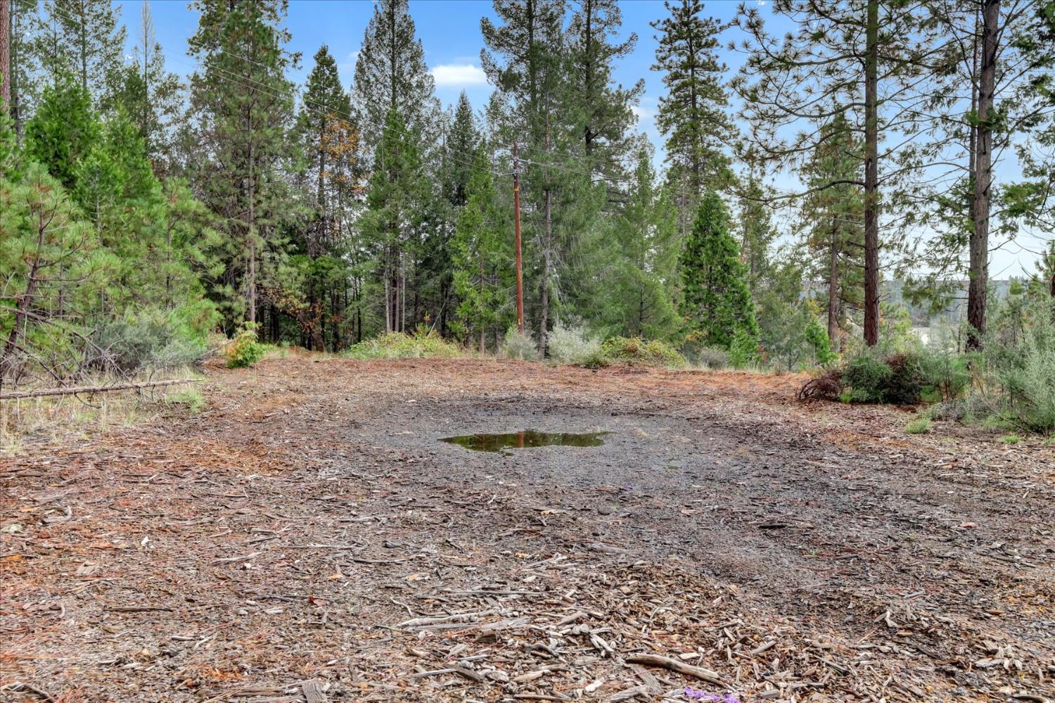 1349 Idaho Maryland Road Grass Valley, CA 95945 - Photo 51 of 89