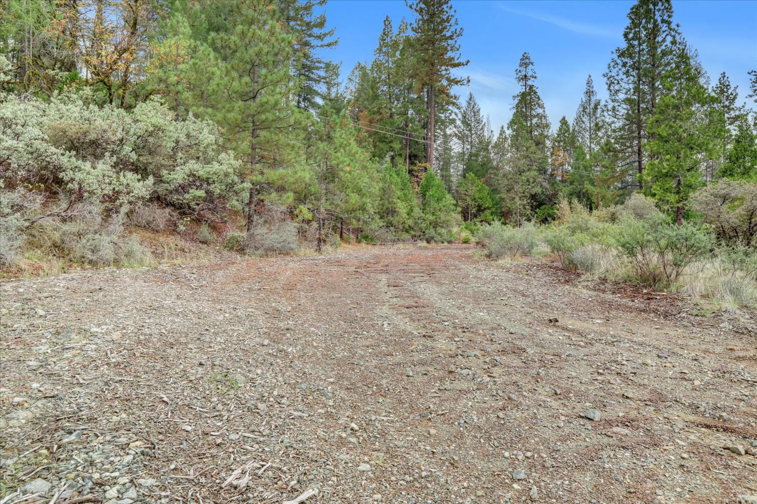 1349 Idaho Maryland Road Grass Valley, CA 95945 - Photo 53 of 89 a view of a dry yard with trees in the background