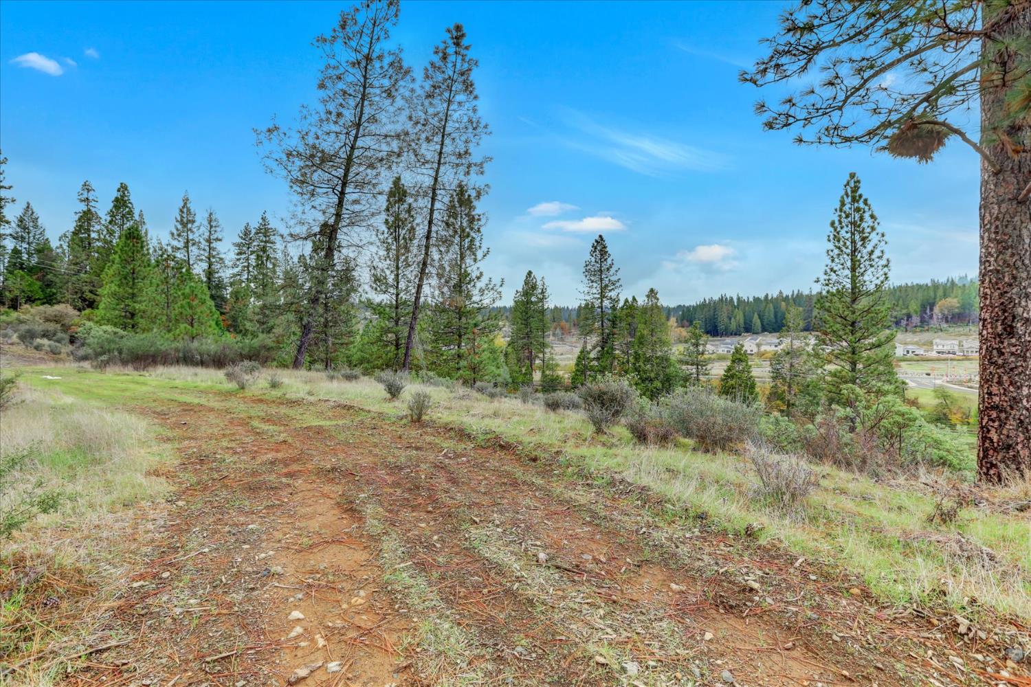 1349 Idaho Maryland Road Grass Valley, CA 95945 - Photo 54 of 89 a view of a field with trees in the background