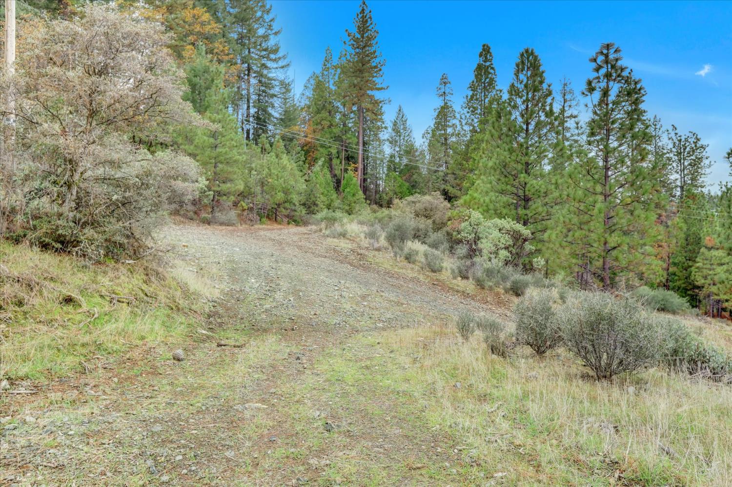 1349 Idaho Maryland Road Grass Valley, CA 95945 - Photo 55 of 89 a view of a yard with trees