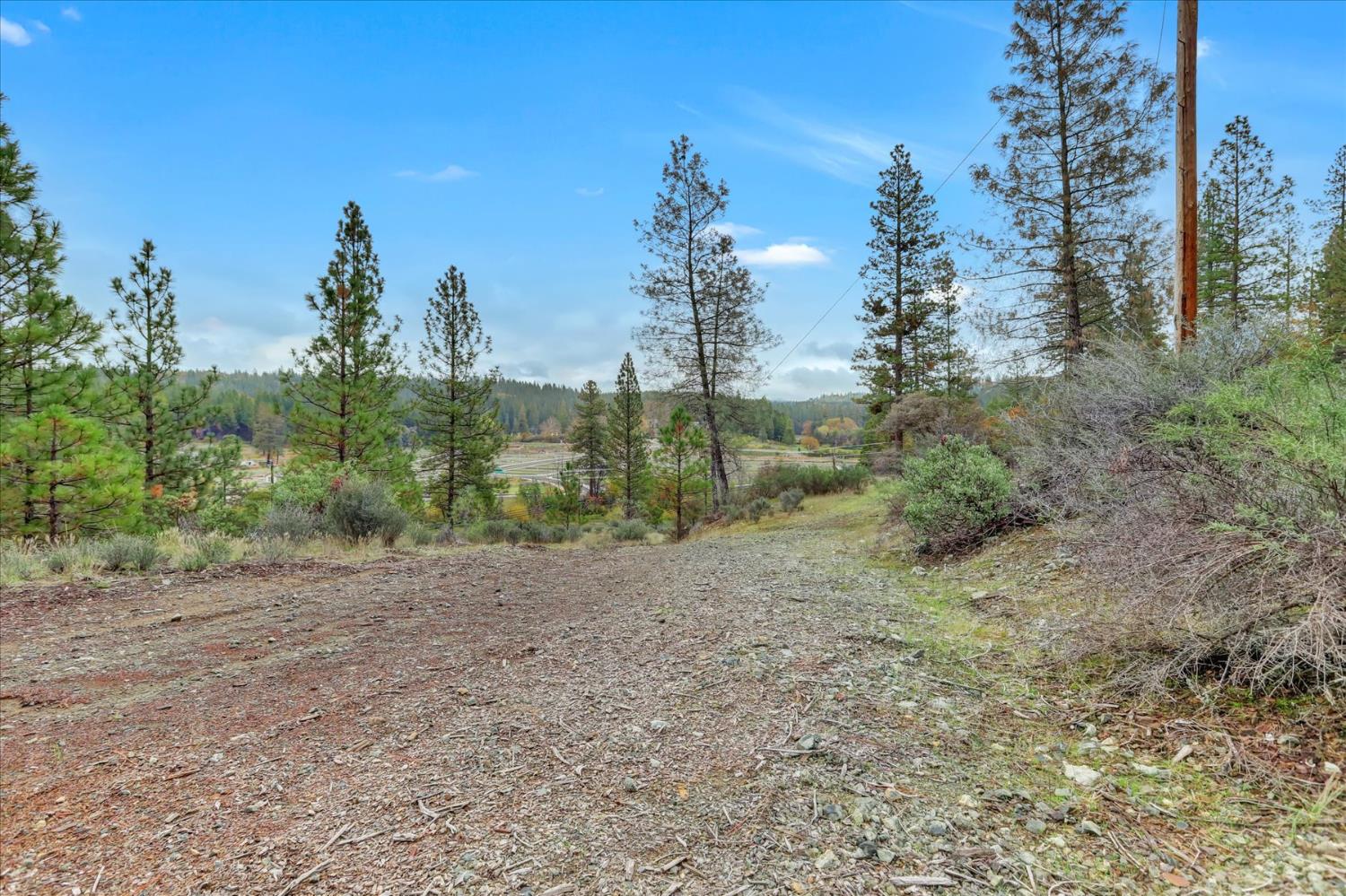 1349 Idaho Maryland Road Grass Valley, CA 95945 - Photo 57 of 89 a view of a field with trees in the background