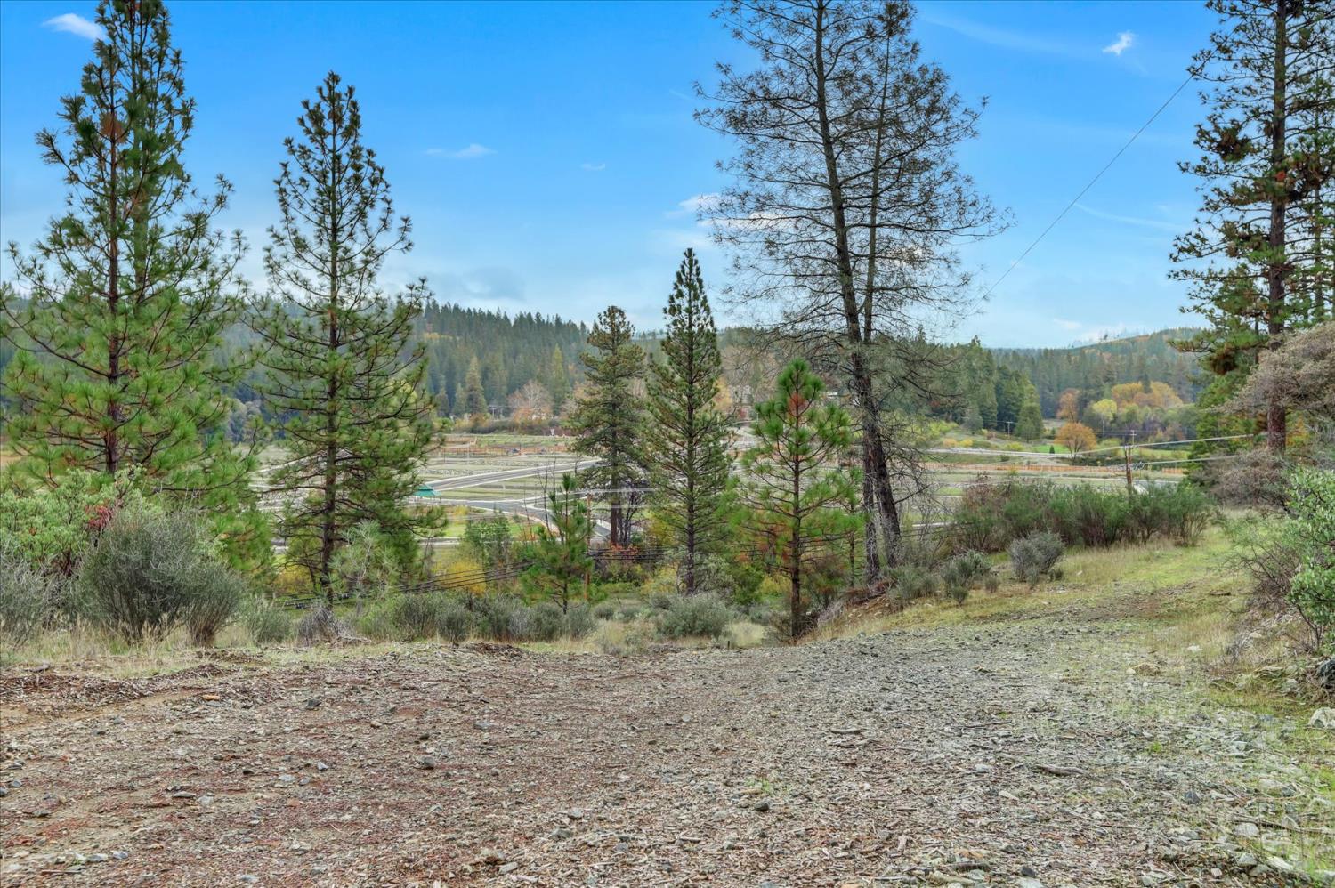 1349 Idaho Maryland Road Grass Valley, CA 95945 - Photo 58 of 89 a view of a forest with trees in the background