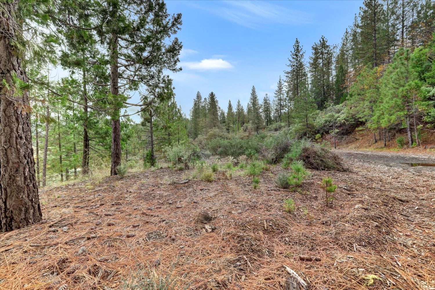 1349 Idaho Maryland Road Grass Valley, CA 95945 - Photo 64 of 89
