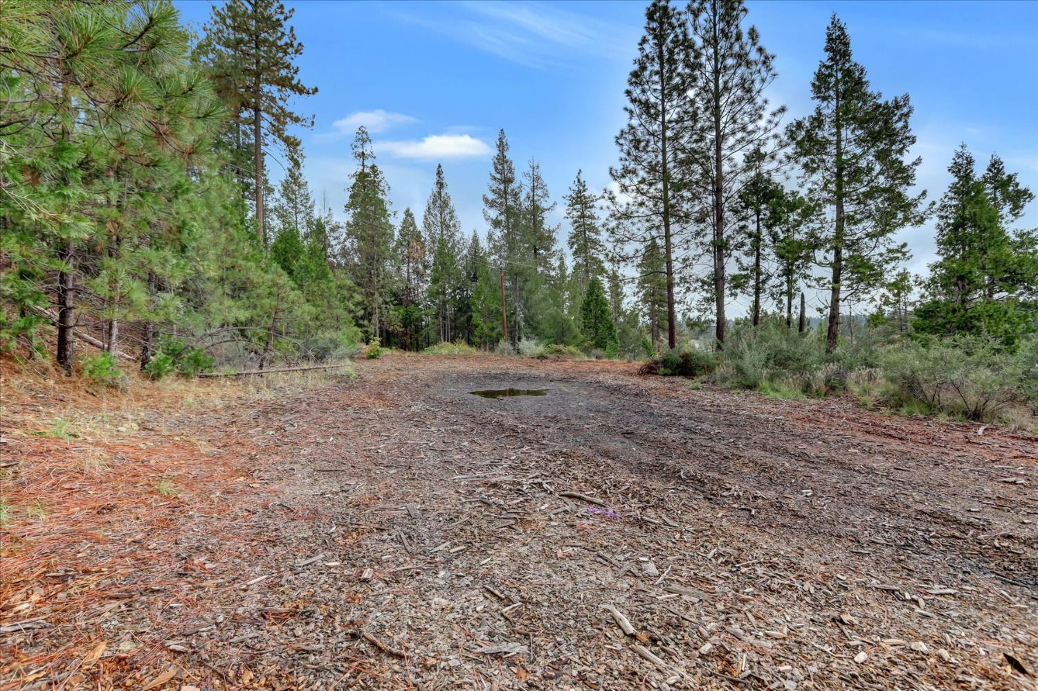 1349 Idaho Maryland Road Grass Valley, CA 95945 - Photo 65 of 89 a view of a dirt field with trees in the background