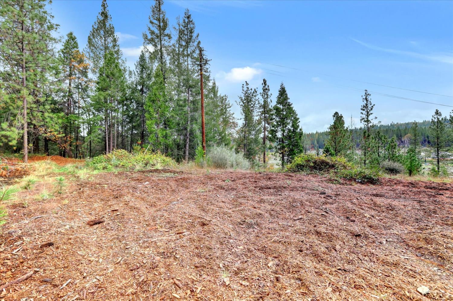 1349 Idaho Maryland Road Grass Valley, CA 95945 - Photo 66 of 89 a view of a yard with a tree