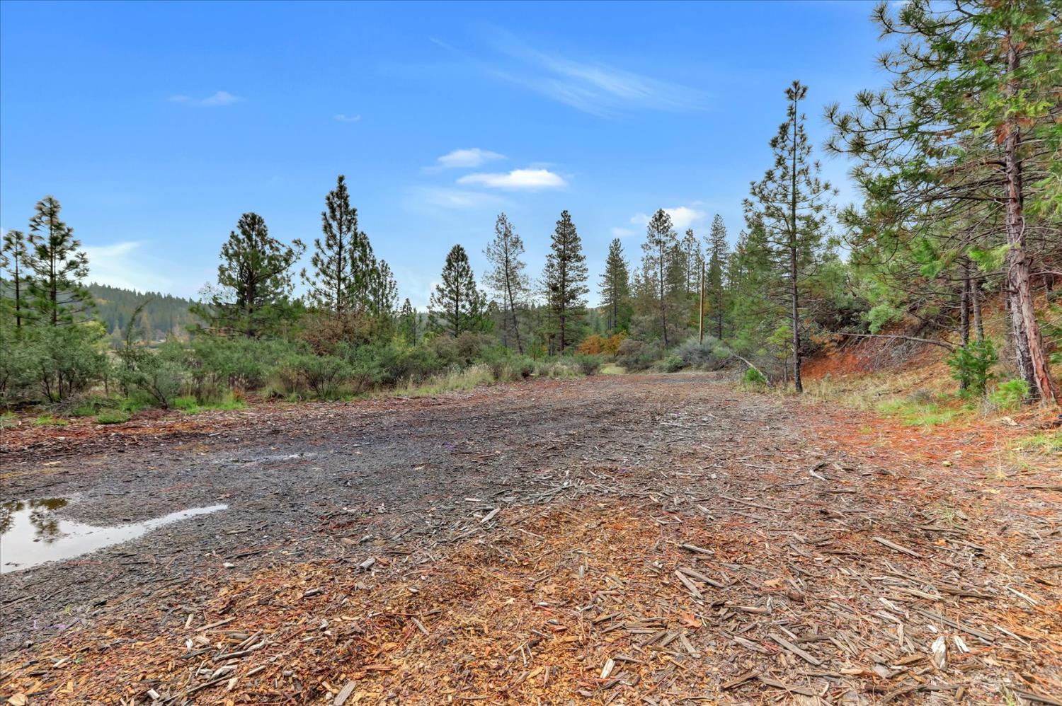 1349 Idaho Maryland Road Grass Valley, CA 95945 - Photo 70 of 89 a view of a field with trees in the background