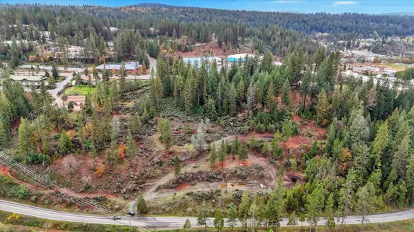 a view of a dry yard with trees in the background