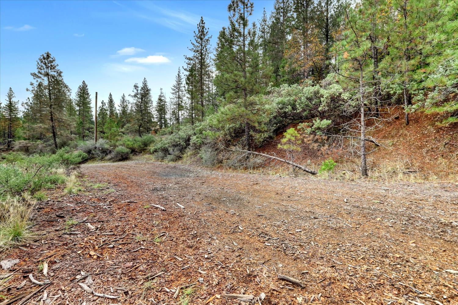 1349 Idaho Maryland Road Grass Valley, CA 95945 - Photo 71 of 89
