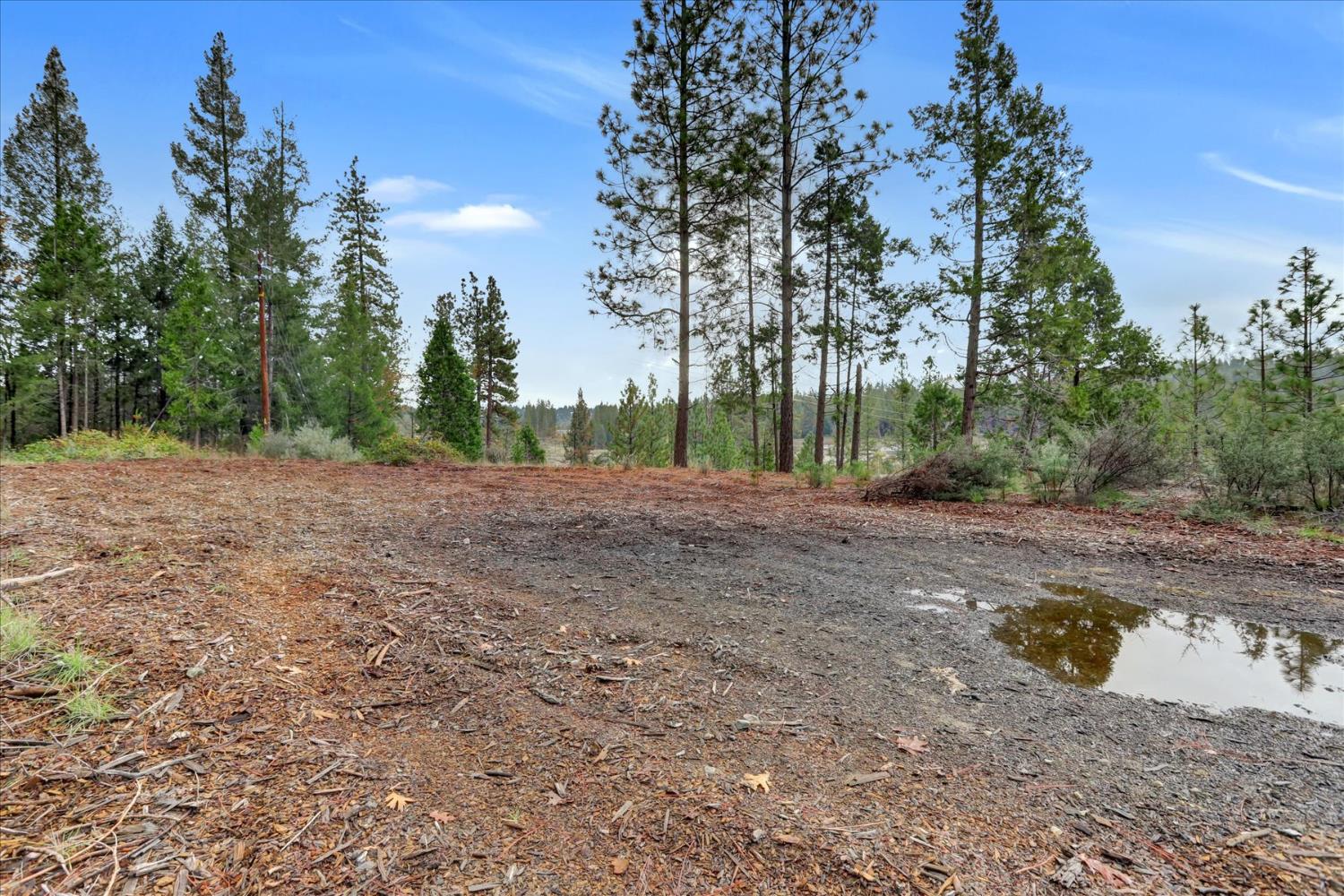 1349 Idaho Maryland Road Grass Valley, CA 95945 - Photo 74 of 89 a backyard of a house with trees all around