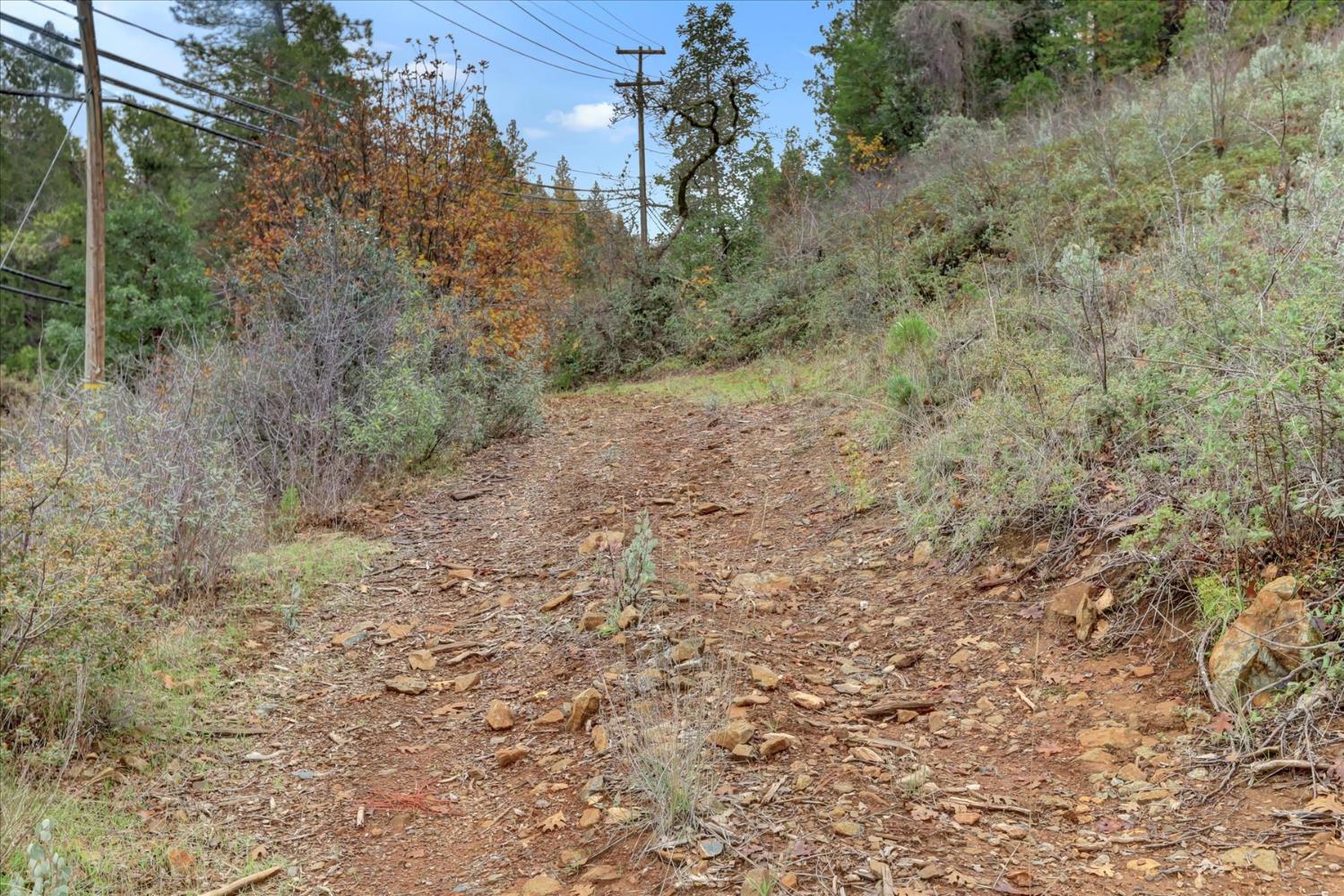 1349 Idaho Maryland Road Grass Valley, CA 95945 - Photo 76 of 89 a view of a dry field with trees in the background