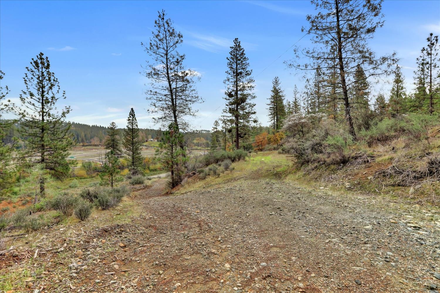 1349 Idaho Maryland Road Grass Valley, CA 95945 - Photo 77 of 89 a view of a dry yard with trees in the background