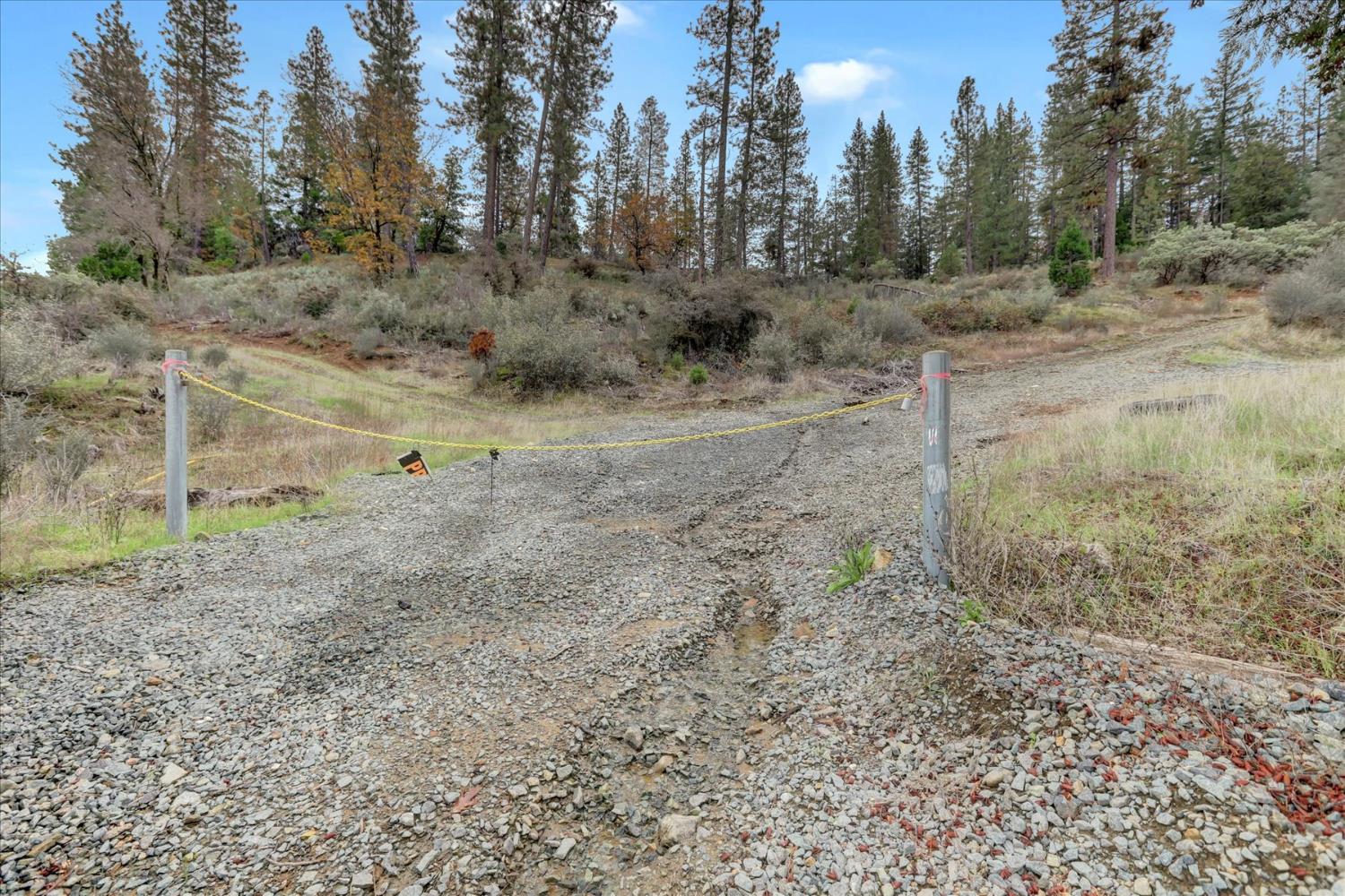 1349 Idaho Maryland Road Grass Valley, CA 95945 - Photo 79 of 89 a view of a dry yard with trees in the background