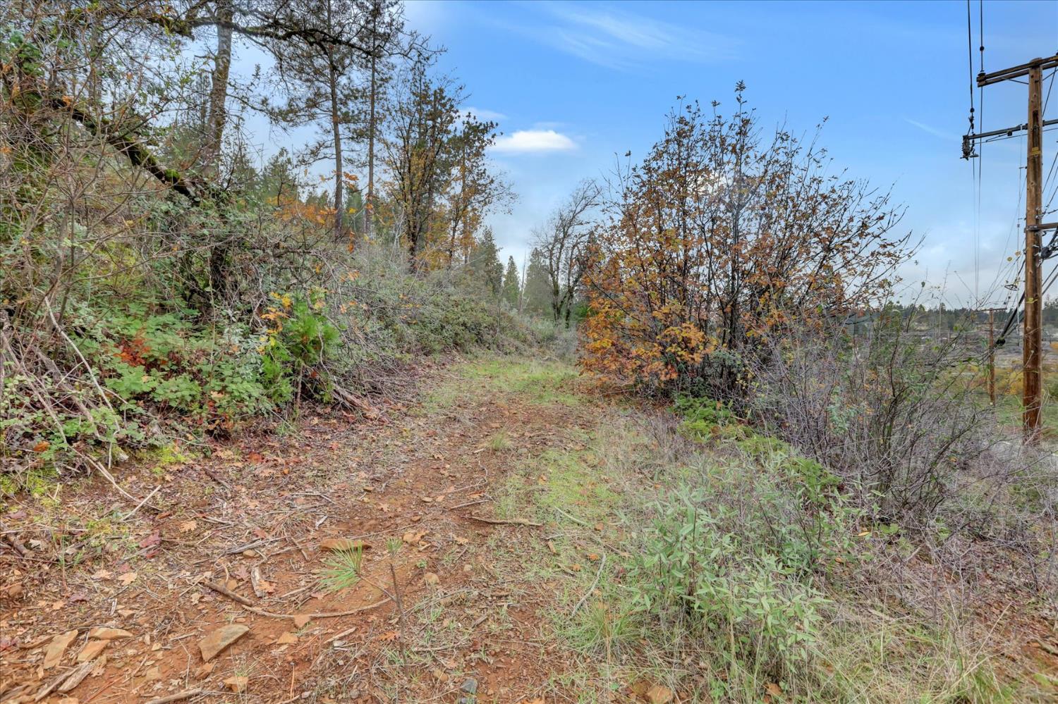 1349 Idaho Maryland Road Grass Valley, CA 95945 - Photo 84 of 89 a view of a yard with a tree