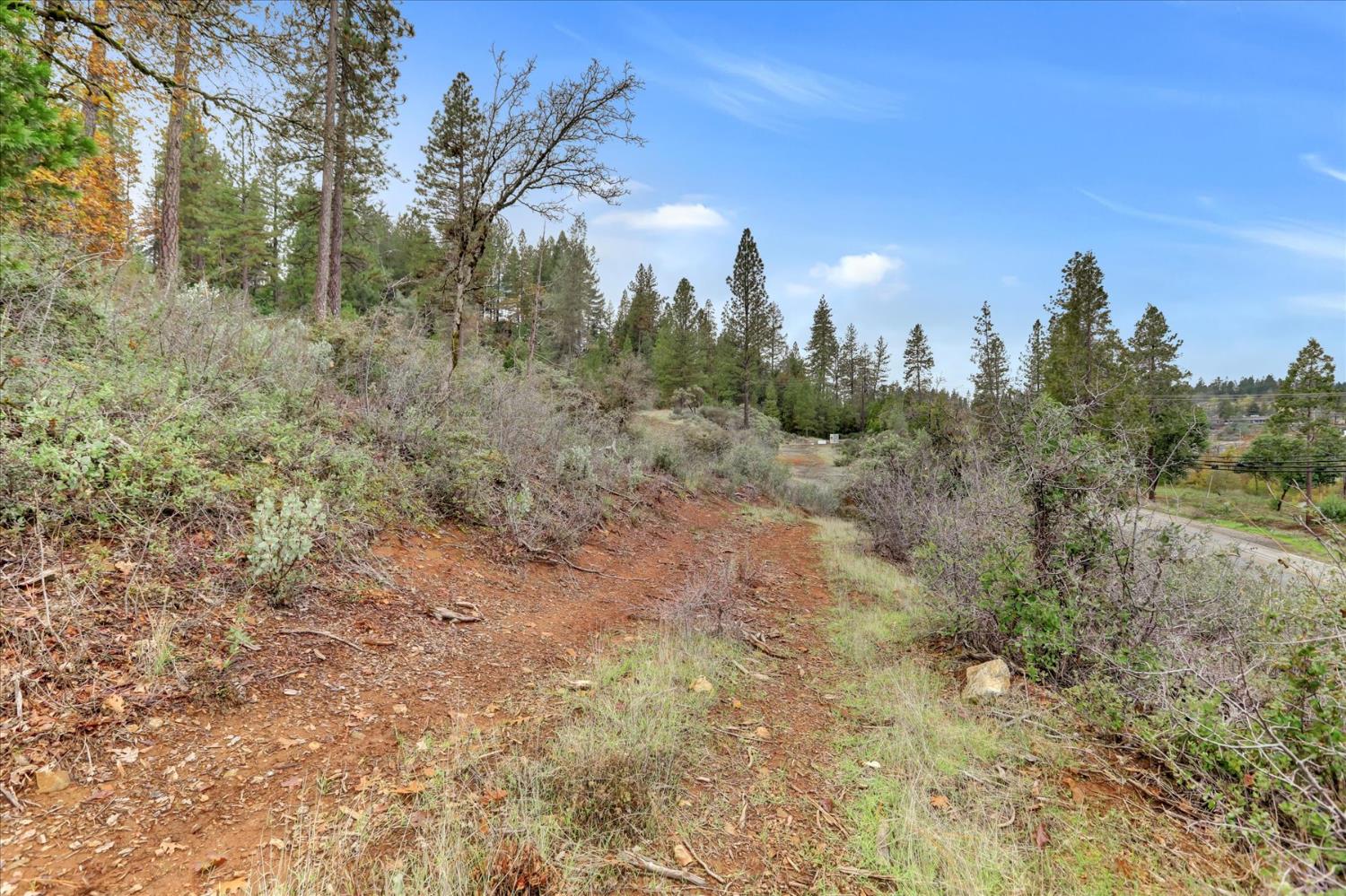 1349 Idaho Maryland Road Grass Valley, CA 95945 - Photo 88 of 89 a view of a city with lush green forest