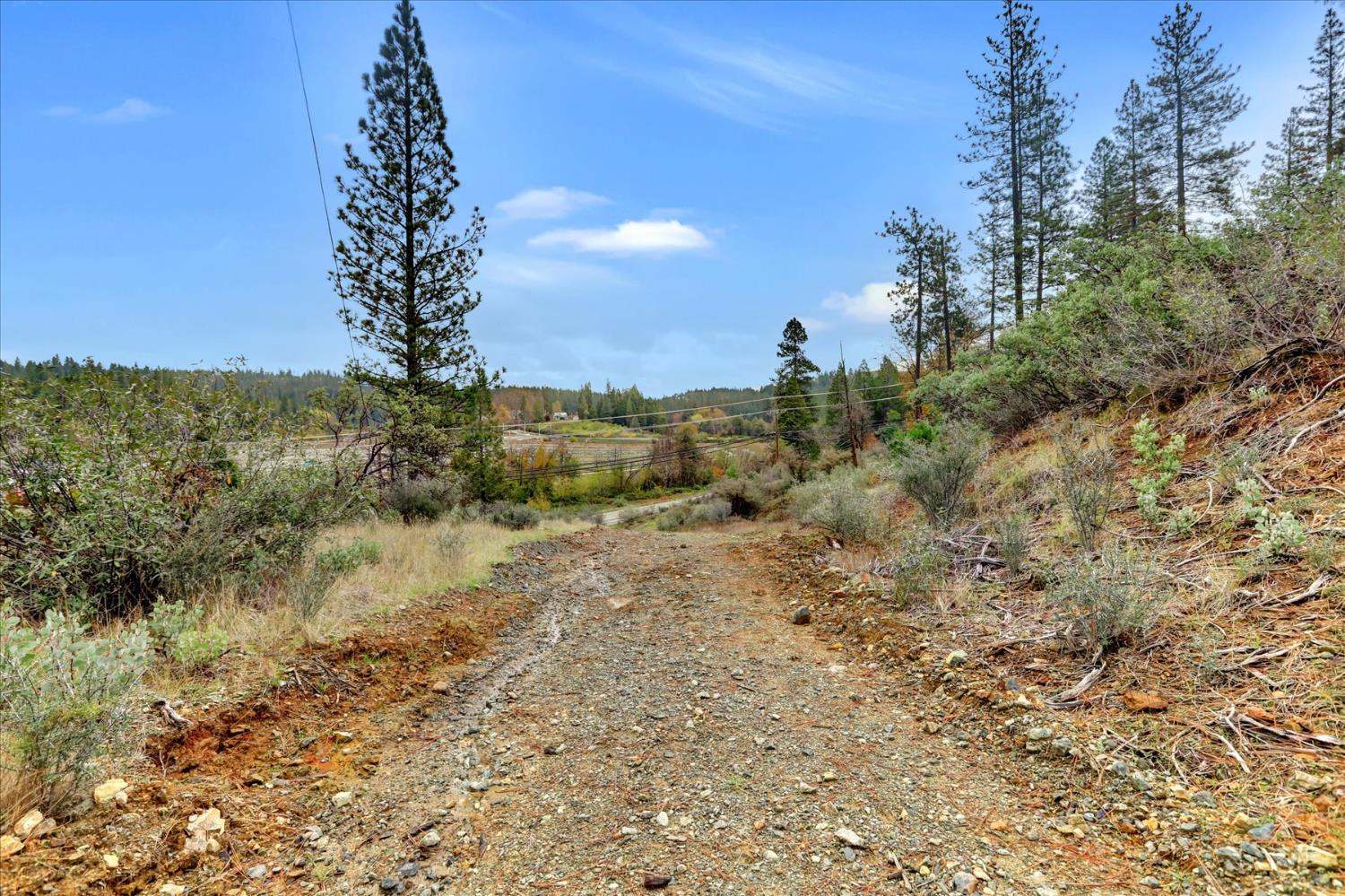 1349 Idaho Maryland Road Grass Valley, CA 95945 - Photo 89 of 89 a view of a yard with a tree