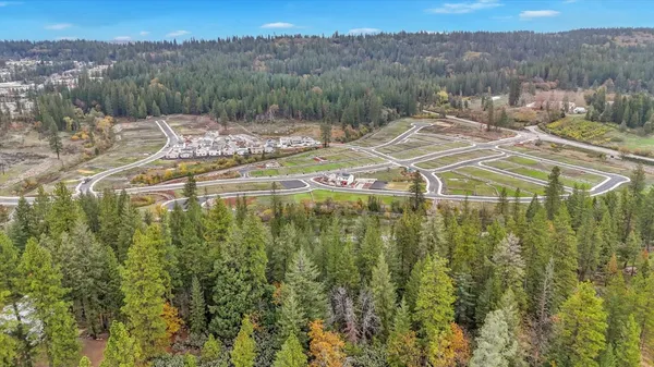 a view of a field with trees in the background