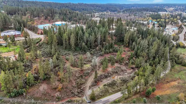 a view of a yard with large trees