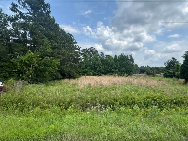 $25,000 | 0 Avacodo Drive, Santee, SC 29142