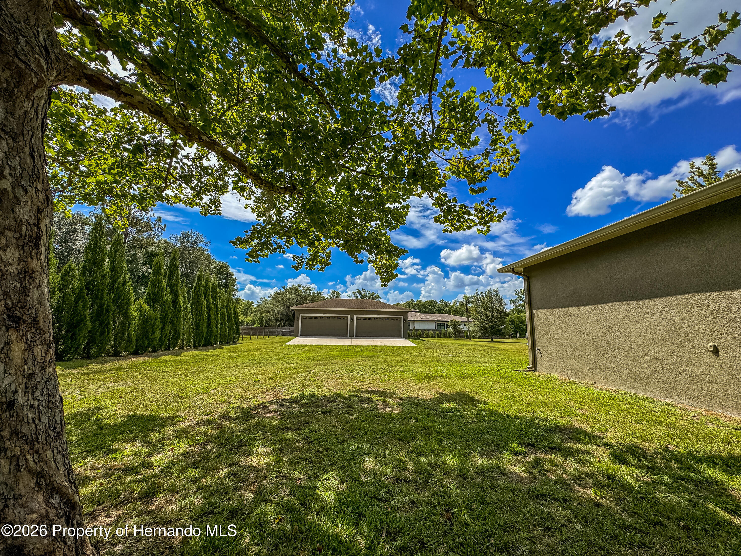 5533 Tower Road Land O' Lakes, FL 34638 - Photo 12 of 62