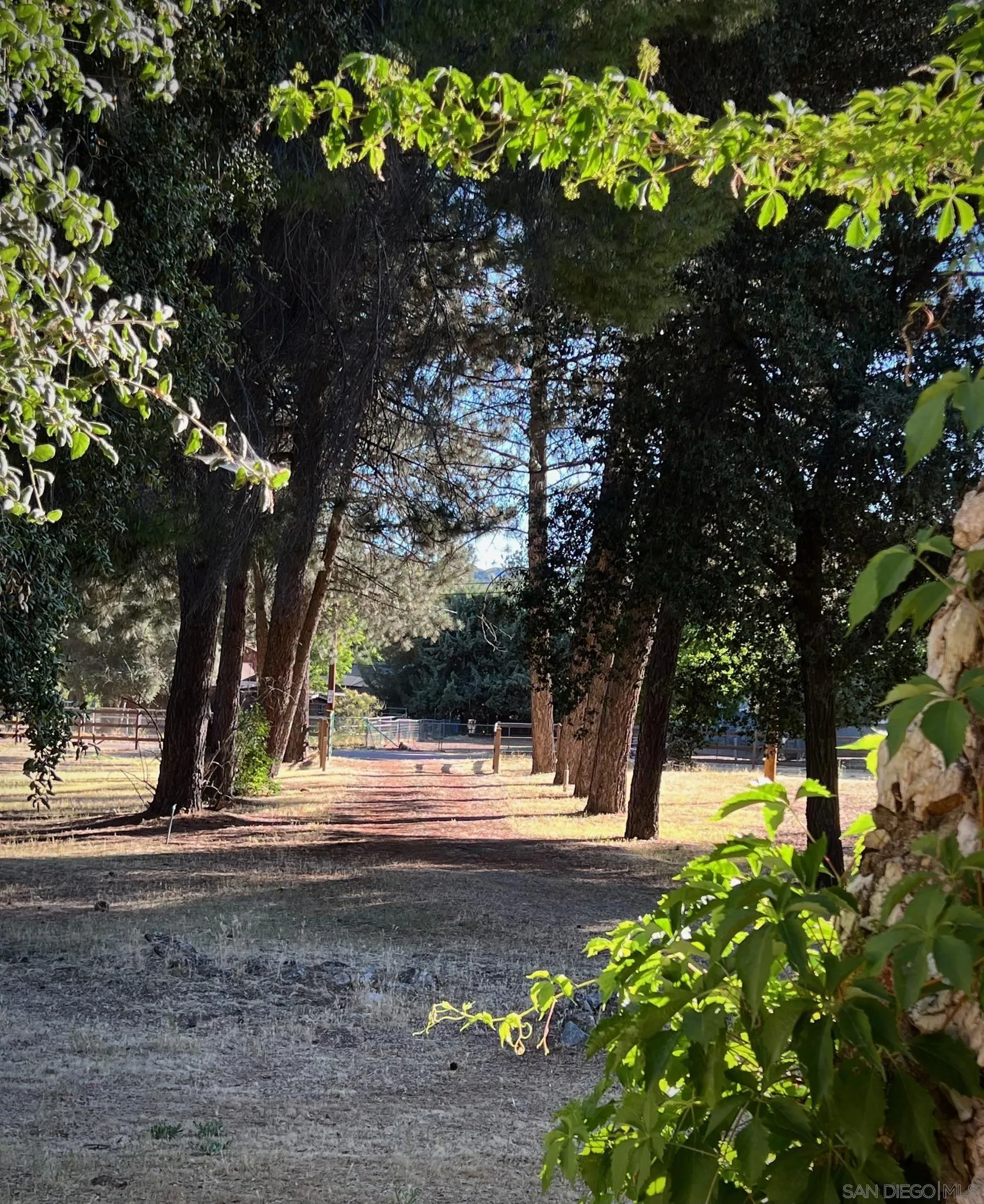 28967 Oak Lane Pine Valley, CA 91962 - Photo 51 of 64