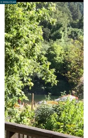 a view of yard from a window