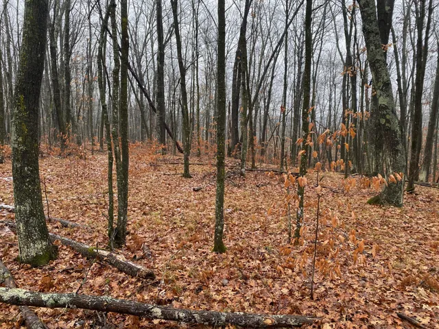 $159,900 | Tbd 170th Place, McGregor, MN 55760