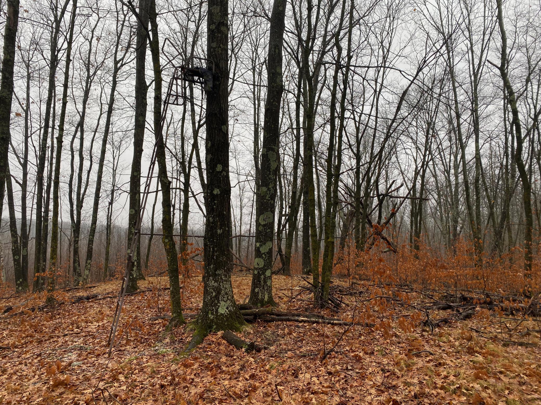 Tbd 170th Place McGregor, MN 55760 - Photo 27 of 56