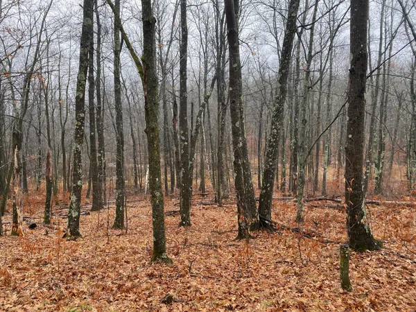 $159,900 | Tbd 170th Place, McGregor, MN 55760