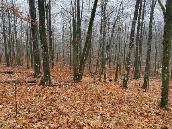 $159,900 | Tbd 170th Place, McGregor, MN 55760