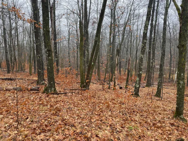 $159,900 | Tbd 170th Place, McGregor, MN 55760